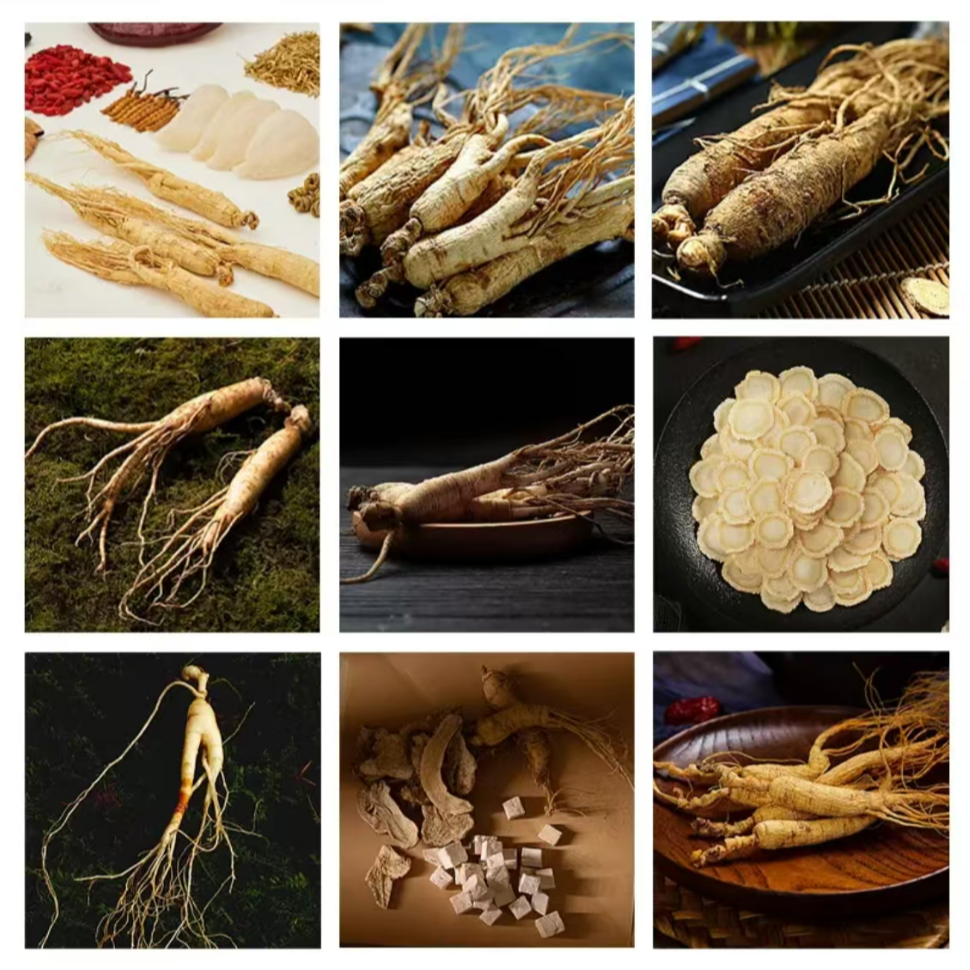 【萍姐滇缅山货西洋参】灯--塔--母