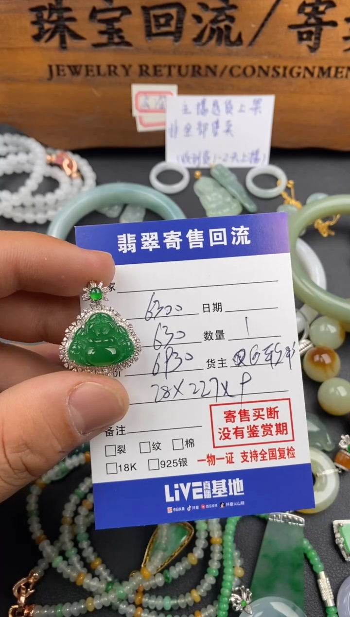 【闪购商品】翡翠颈饰18K金镶嵌30002121