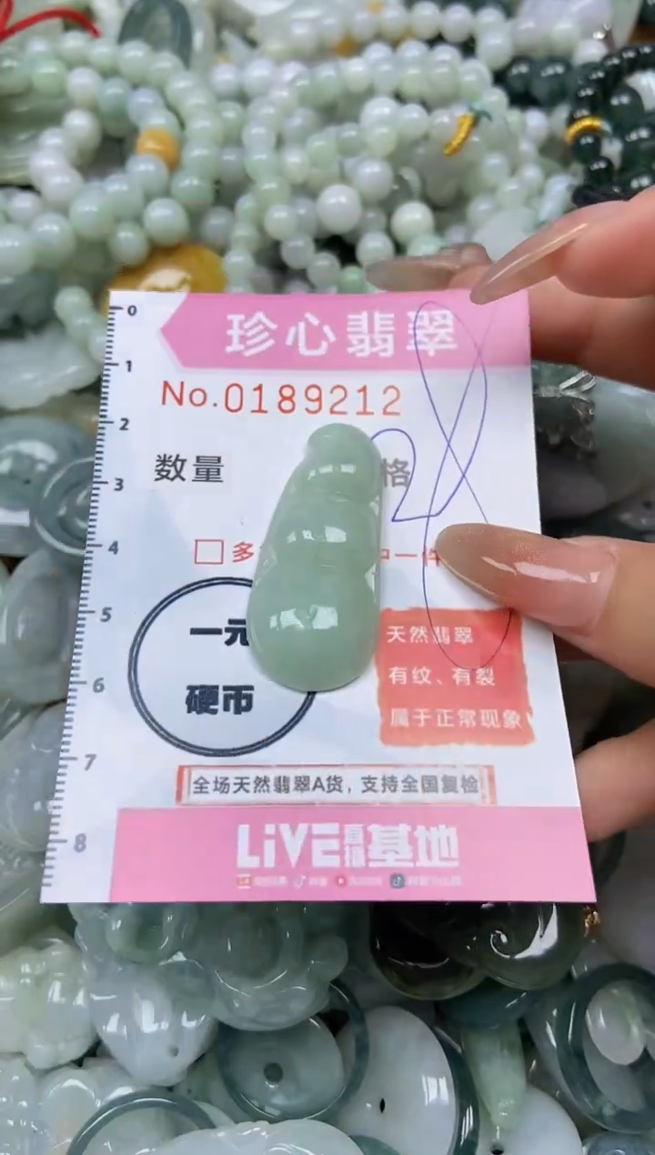 翡翠未镶嵌颈饰闪购链接0189212