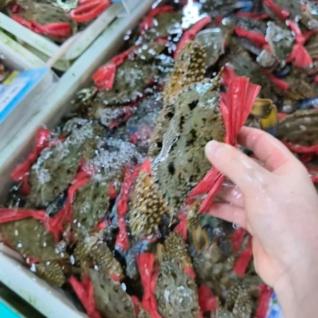 《同城闪送》本地花蟹海鲜1斤8只左右