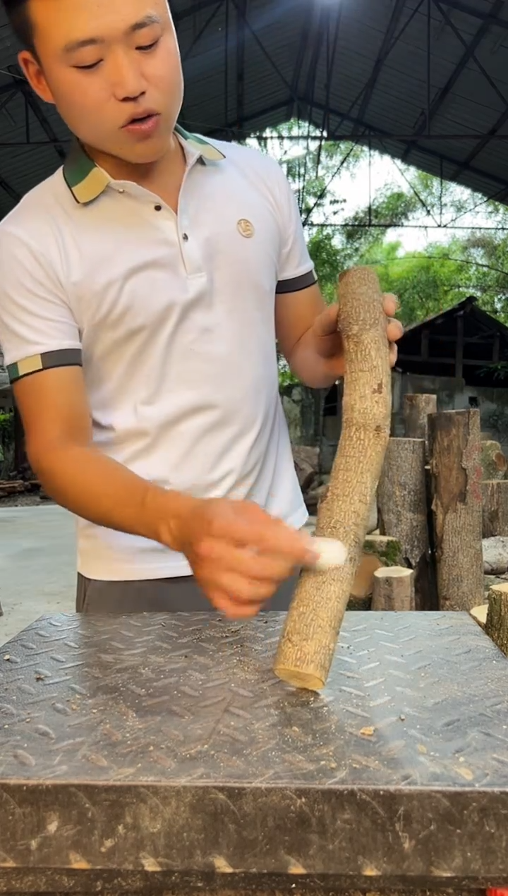 四川小叶桢楠金丝楠