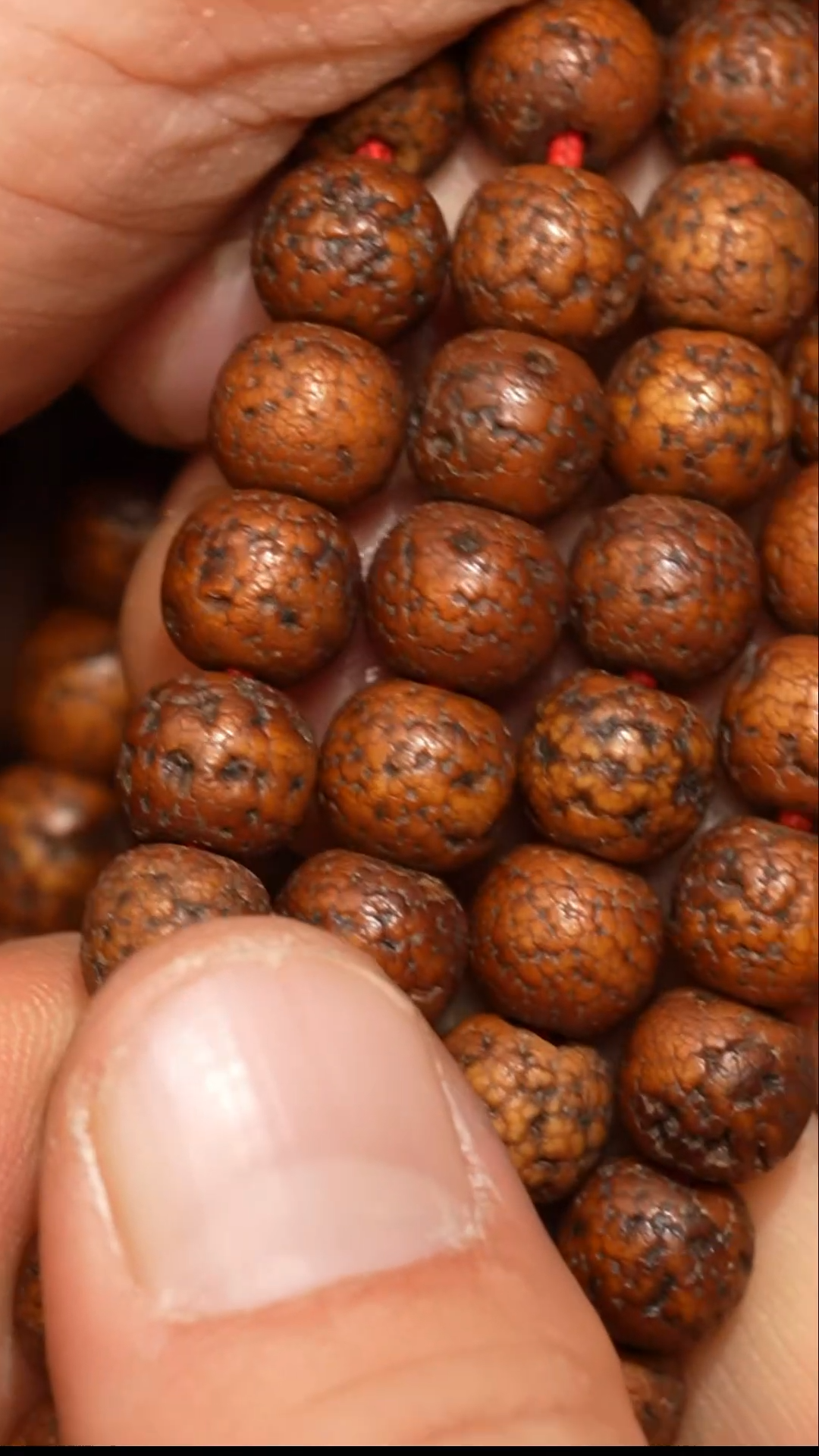 【闪购商品】冲赛康胡子哥，藏传念珠64