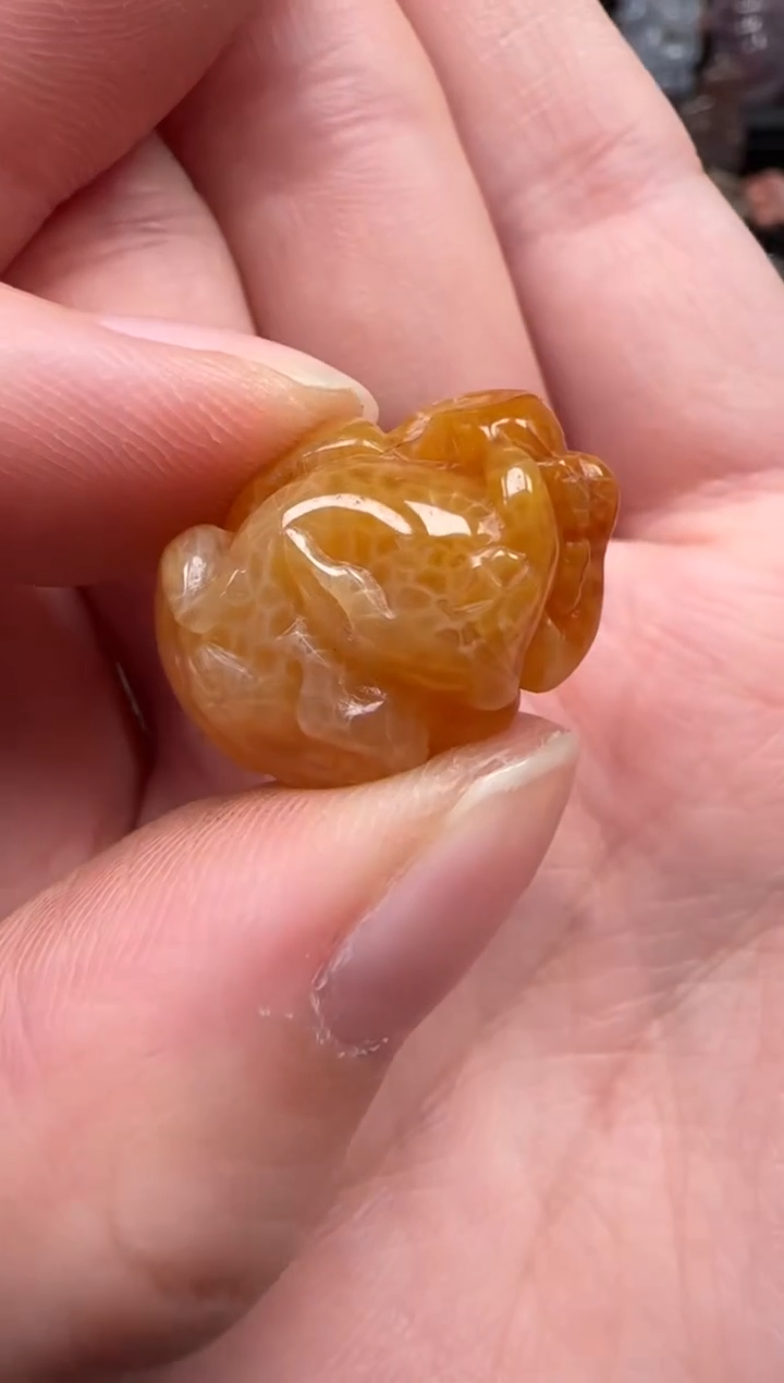 颈饰未镶嵌硅化珊瑚（珊瑚玉）564