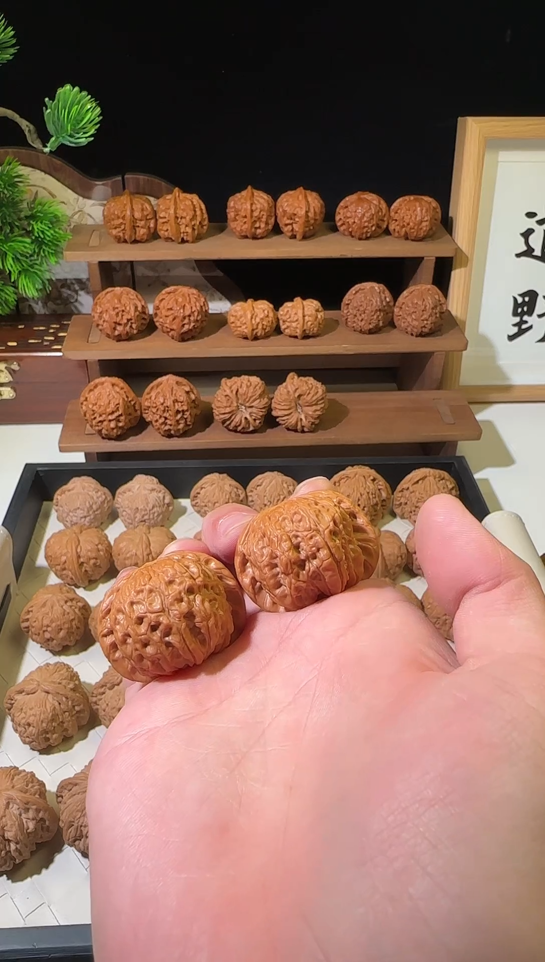 文玩核桃把件37血麒麟微微修