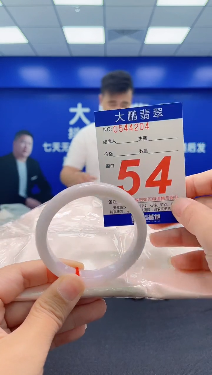未镶嵌手镯翡翠AAAAAAAAA