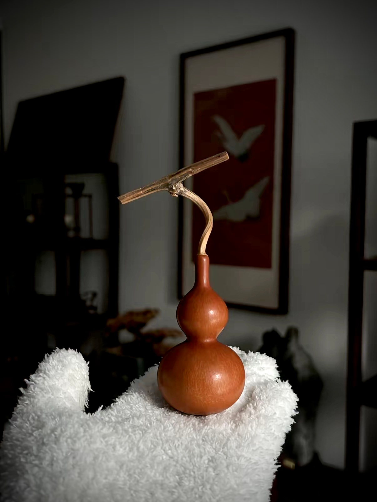 直播间专拍（一单一付）