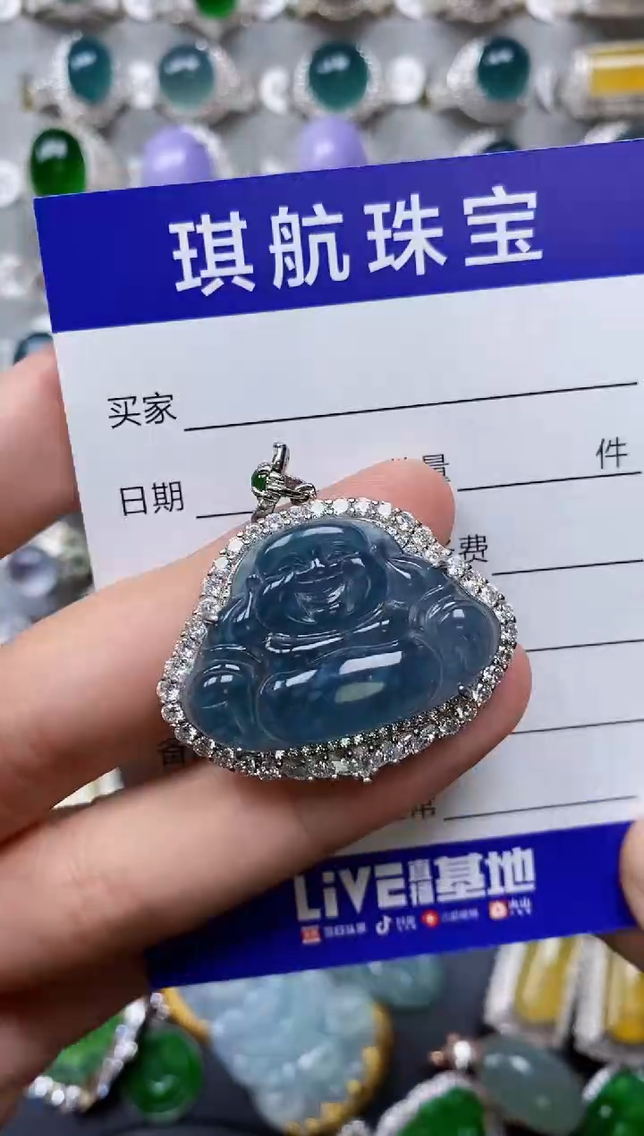 【闪购商品】翡翠颈饰银S925镶嵌0456
