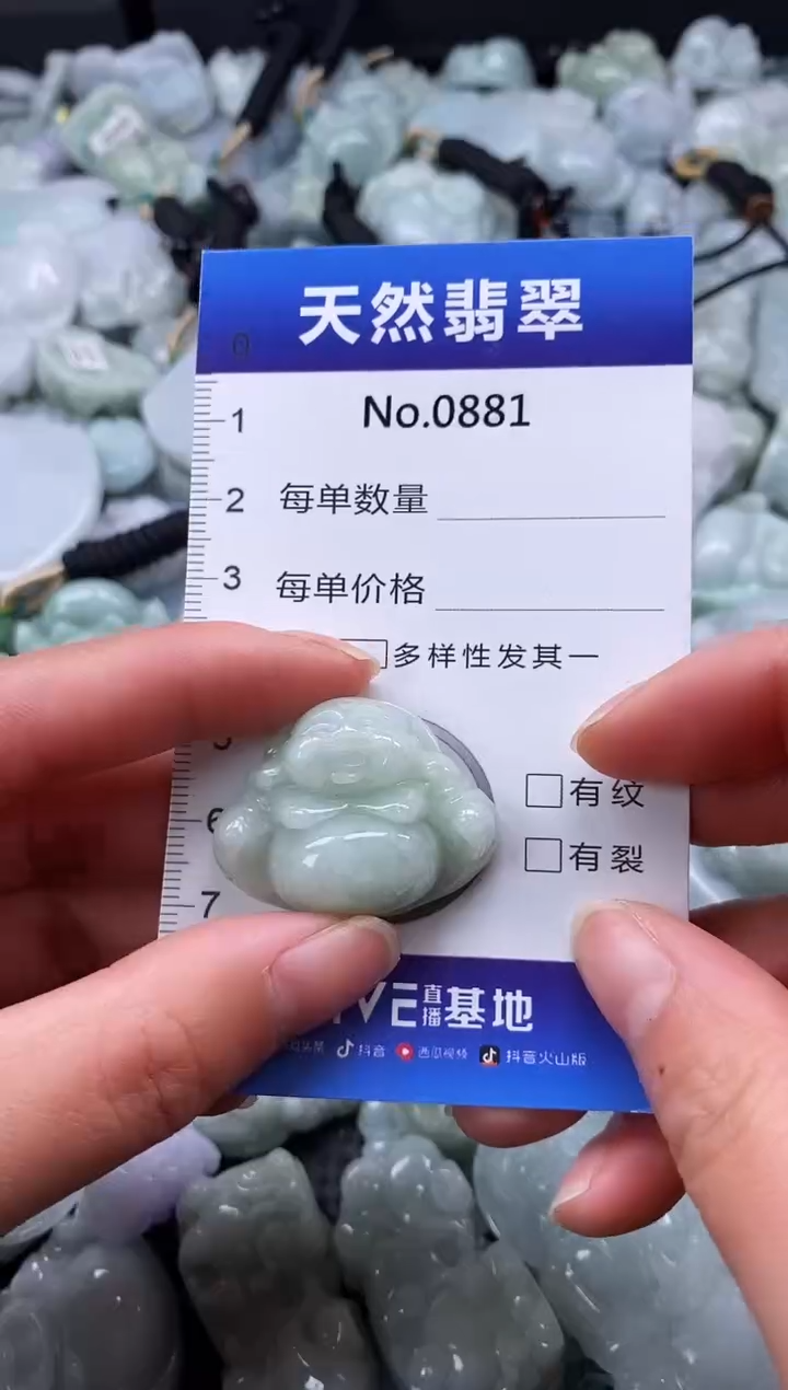 【闪购商品】翡翠颈饰未镶嵌缅甸A货翡翠0881