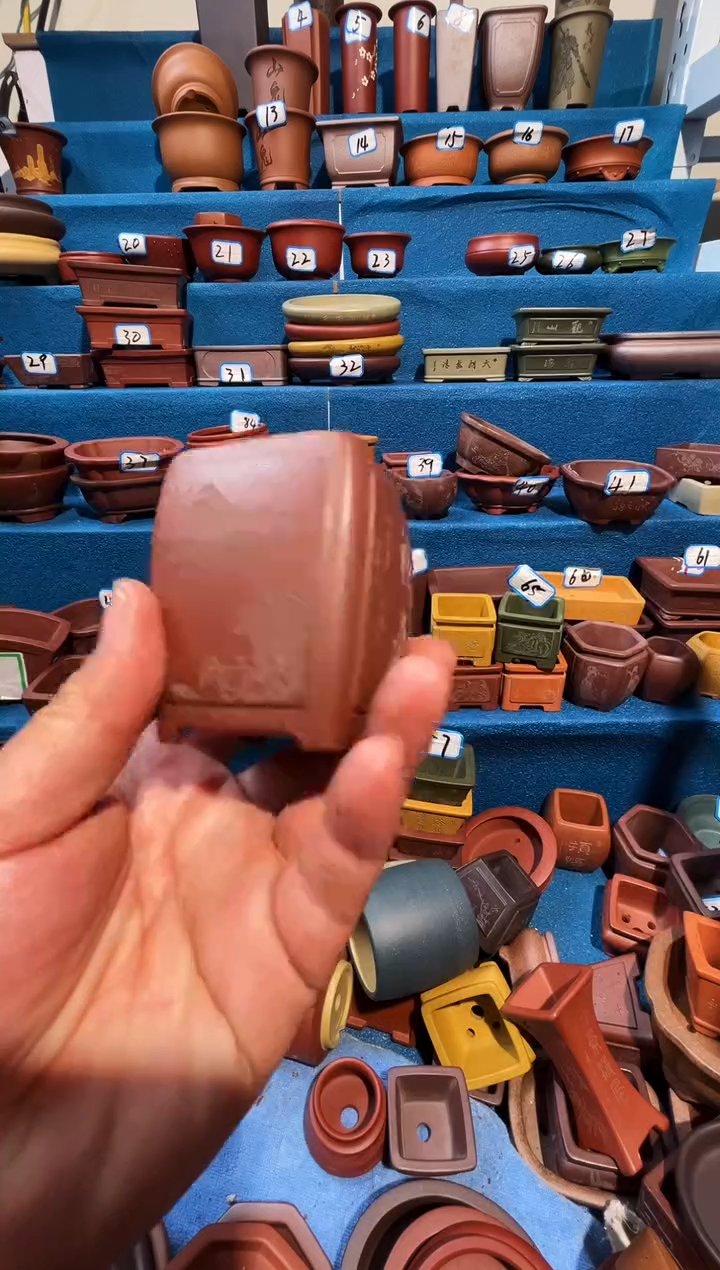 【闪购商品】紫砂紫砂花盆5*7