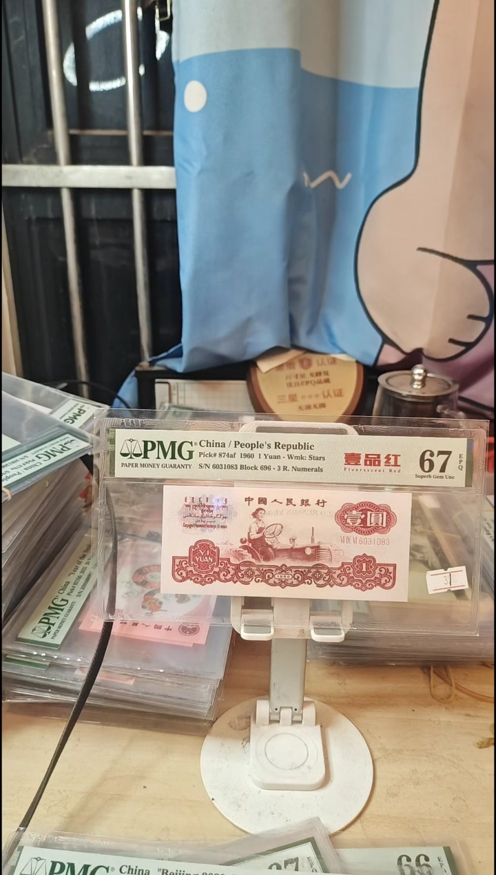 一品红67分无47！！！！！