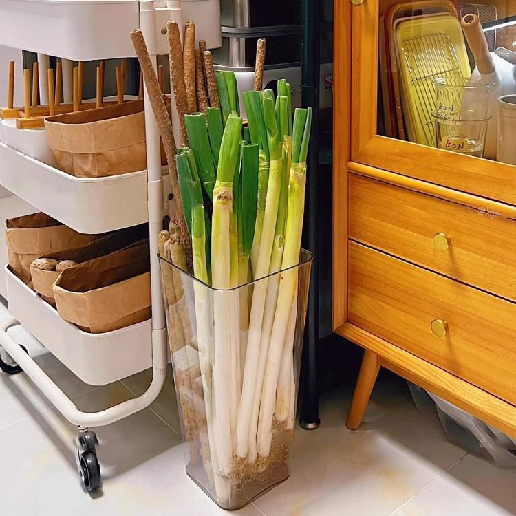 多功能大葱收纳盒铁棍山药透明收纳桶厨房姜蒜食材大容量整理