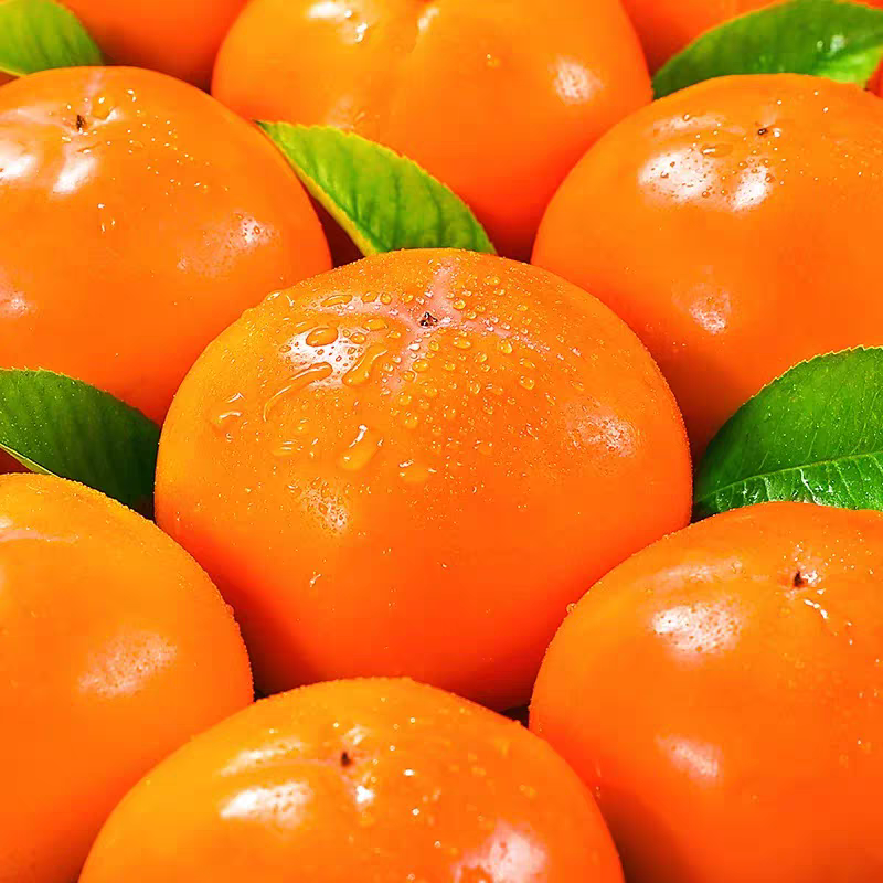 【现摘现发】巧克力脆柿子应季水果糖心脆甜大果硬柿子3/5斤