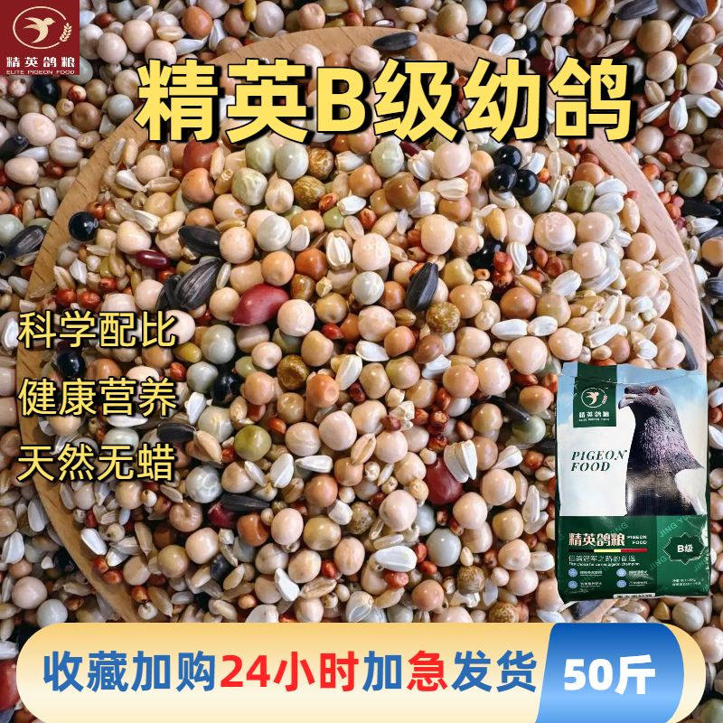 精英鸽粮/B级幼鸽  无玉米鸽食鸽子食鸽子粮食鸽饲料50斤