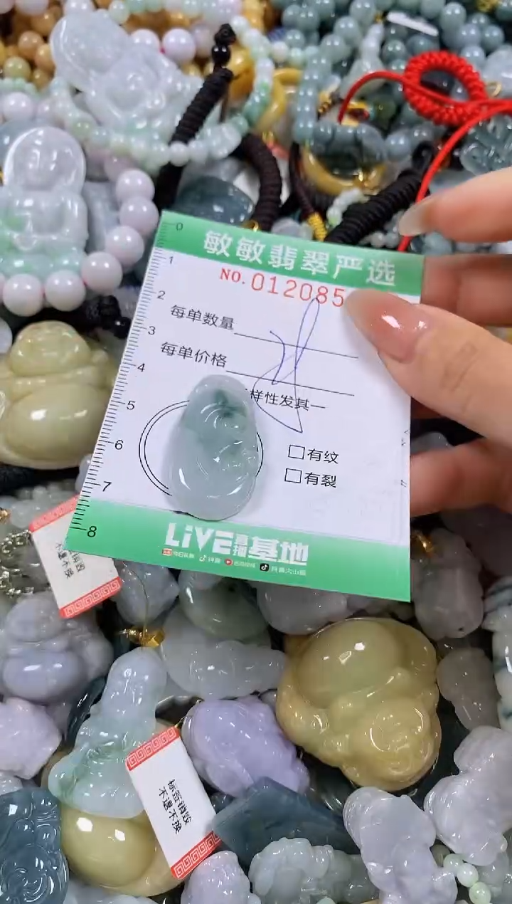 【闪购商品】翡翠颈饰未镶嵌闪购0120855