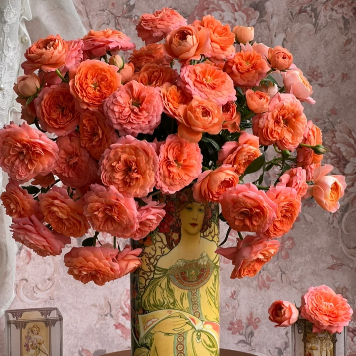 【今喜花舍】（多头）杏色果汁 0°以下地区记得拍保温棉哦！！！