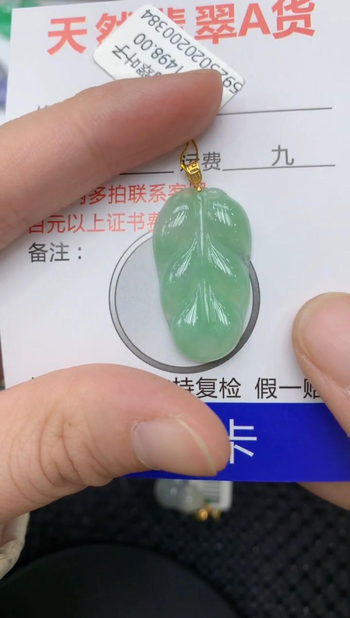 【闪购商品】翡翠颈饰18K金镶嵌11111111111