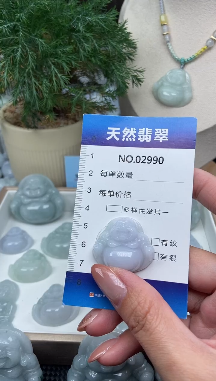 颈饰未镶嵌翡翠纯天然A货翡翠2990