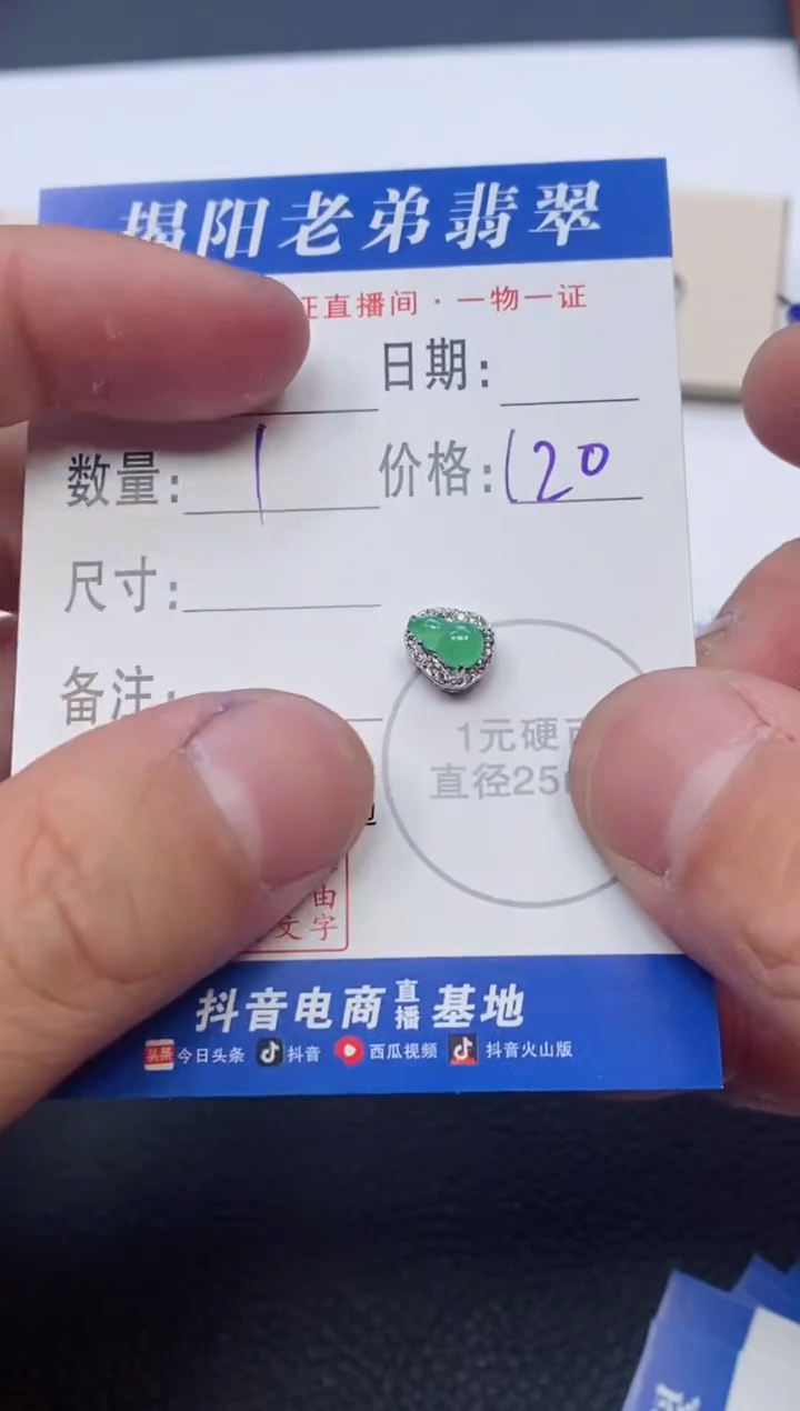 【闪购商品】翡翠颈饰银S925镶嵌多样性发其中一件