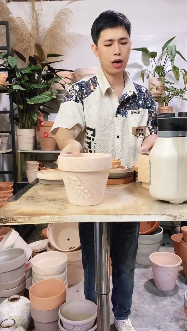 16*14玛奇朵橄榄枝 1盆无托