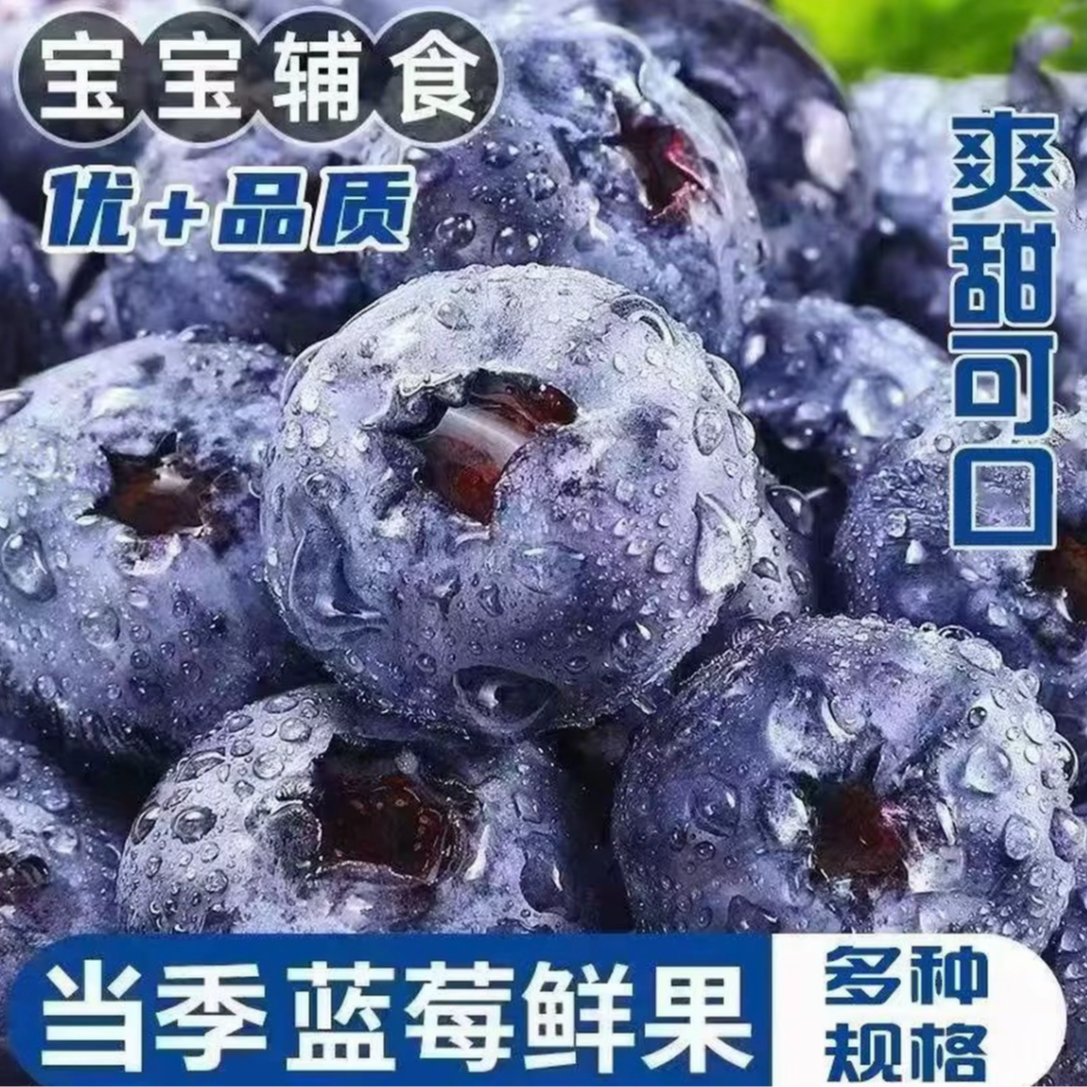 【顺丰空运】花香25云南澄江抚仙湖露天花香蓝莓现摘现发清香脆甜