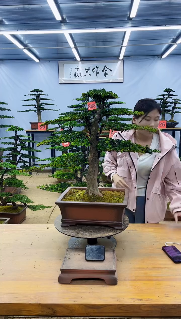 一物一拍，所见即所得