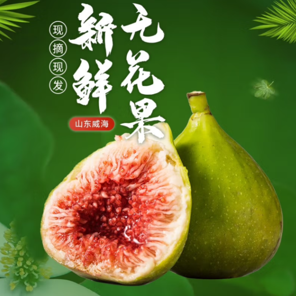 【臻果汇】山东 无花果1.4斤净 树上糖包子 新鲜应季 顺丰快递