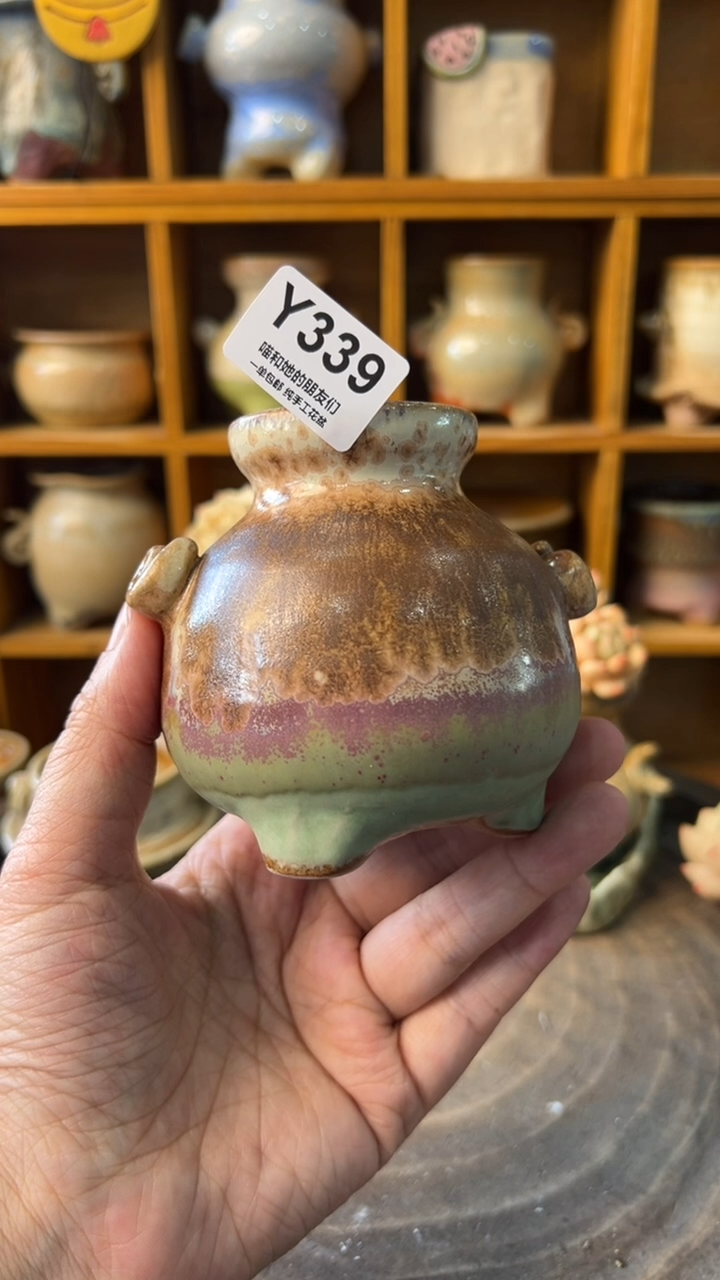 339 内口4【多肉花盆多肉盆】