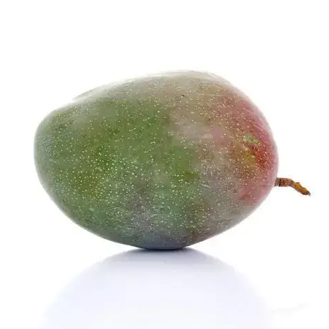 骆驼芒果730g一个