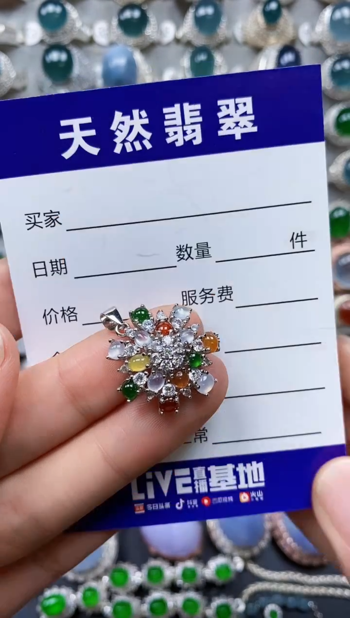 【闪购商品】翡翠颈饰银S925镶嵌0242