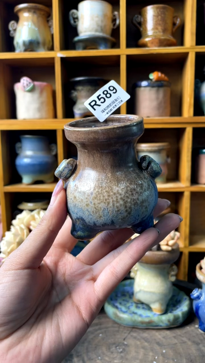 589内口4【多肉花盆多肉盆】