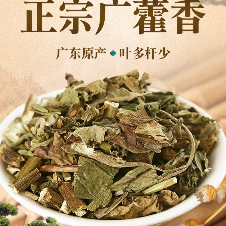 广藿香 新鲜广藿香采摘泡茶可搭配黄芪枸杞250克 