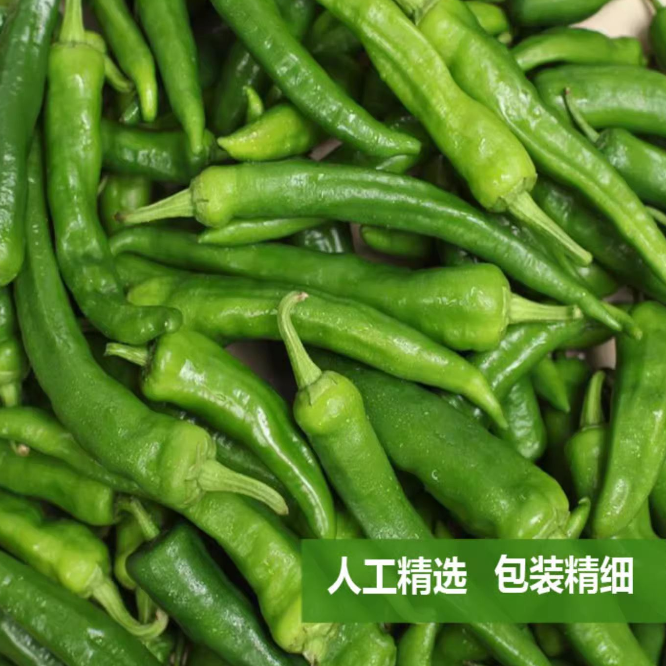 湖南农家自种辣椒新鲜采摘现发青辣椒二荆条3斤装