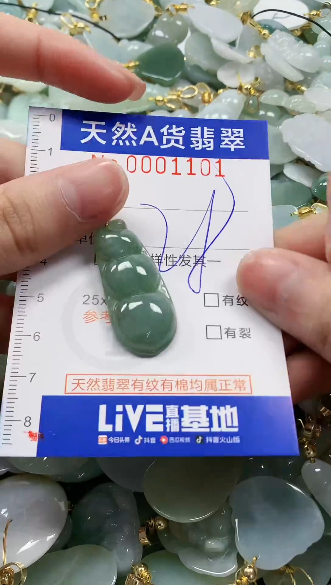 颈饰未镶嵌翡翠纯天然a货翡翠