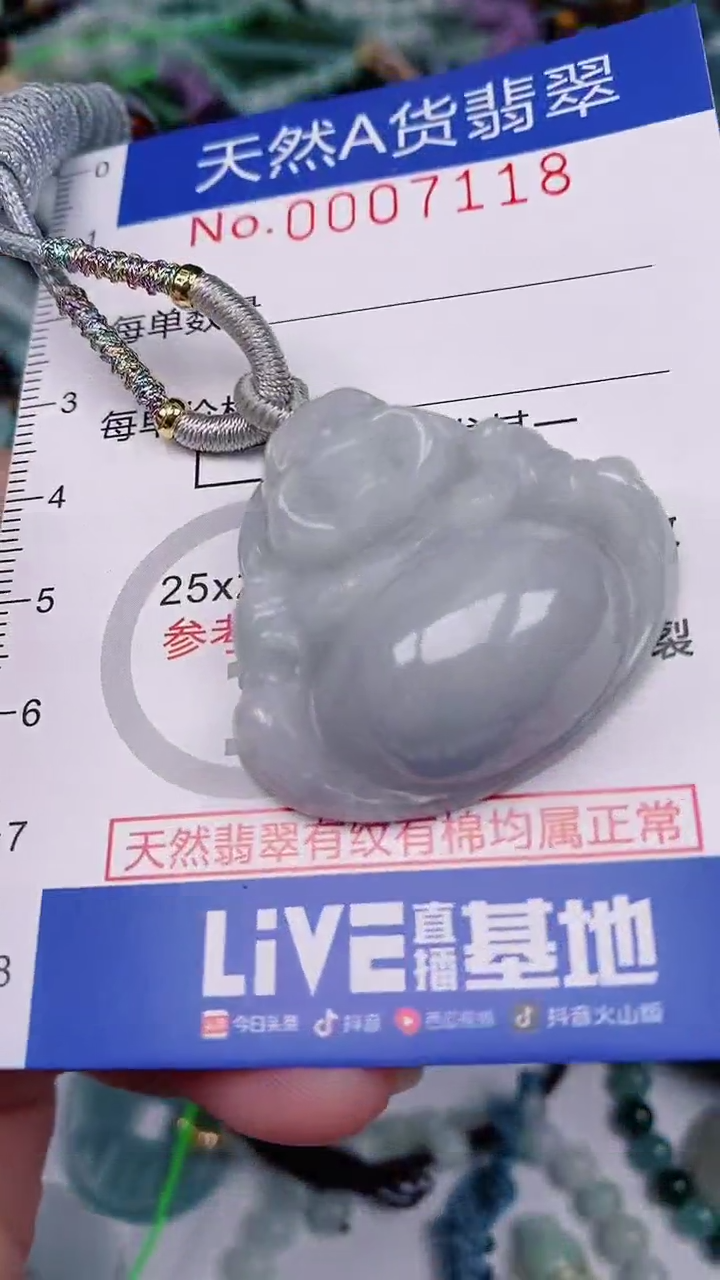 【闪购商品】翡翠颈饰未镶嵌00007118