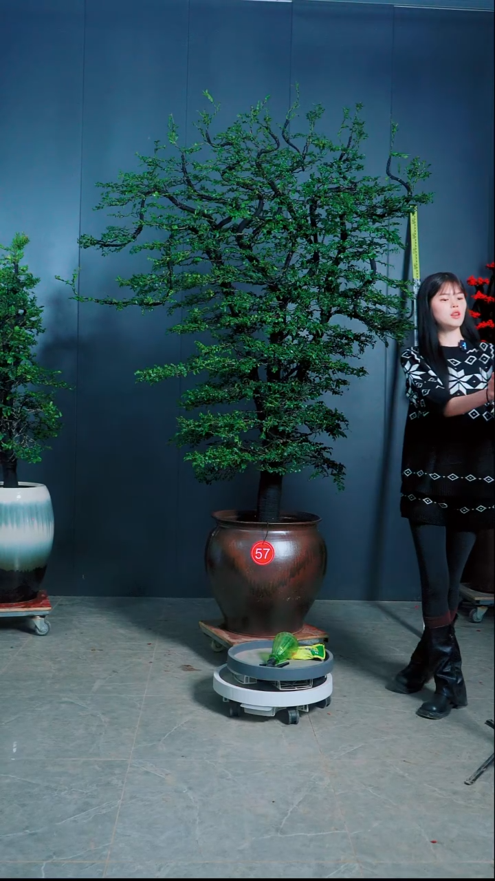 无花朵用*熠广东小叶紫檀.57号