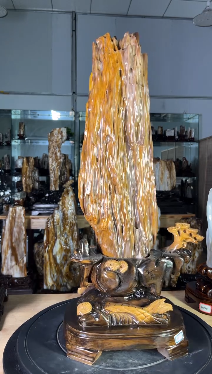 硅化玉珠宝奇石未镶嵌1