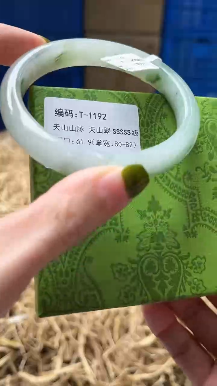 未镶嵌手镯石英质玉T1192