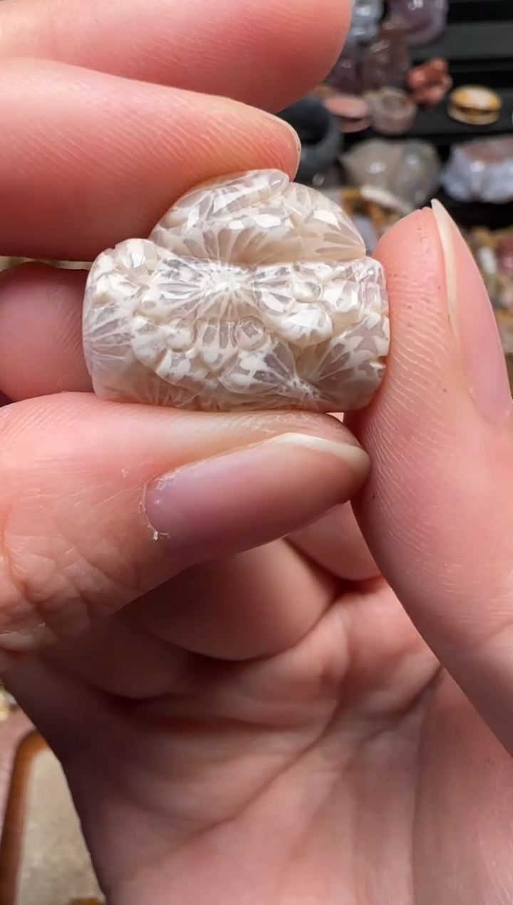 颈饰未镶嵌硅化珊瑚（珊瑚玉）110