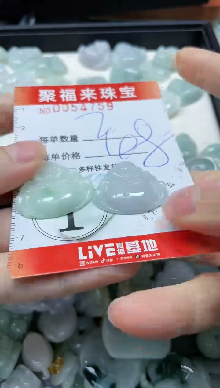 【闪购商品】翡翠颈饰未镶嵌闪购0054759