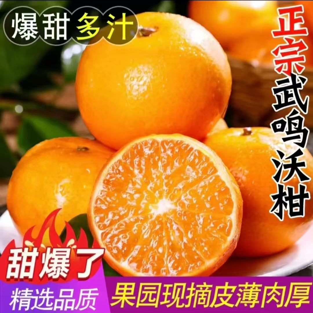 FG 头茬广西武鸣沃柑新鲜水果甜蜜多汁皮薄 酸甜可口