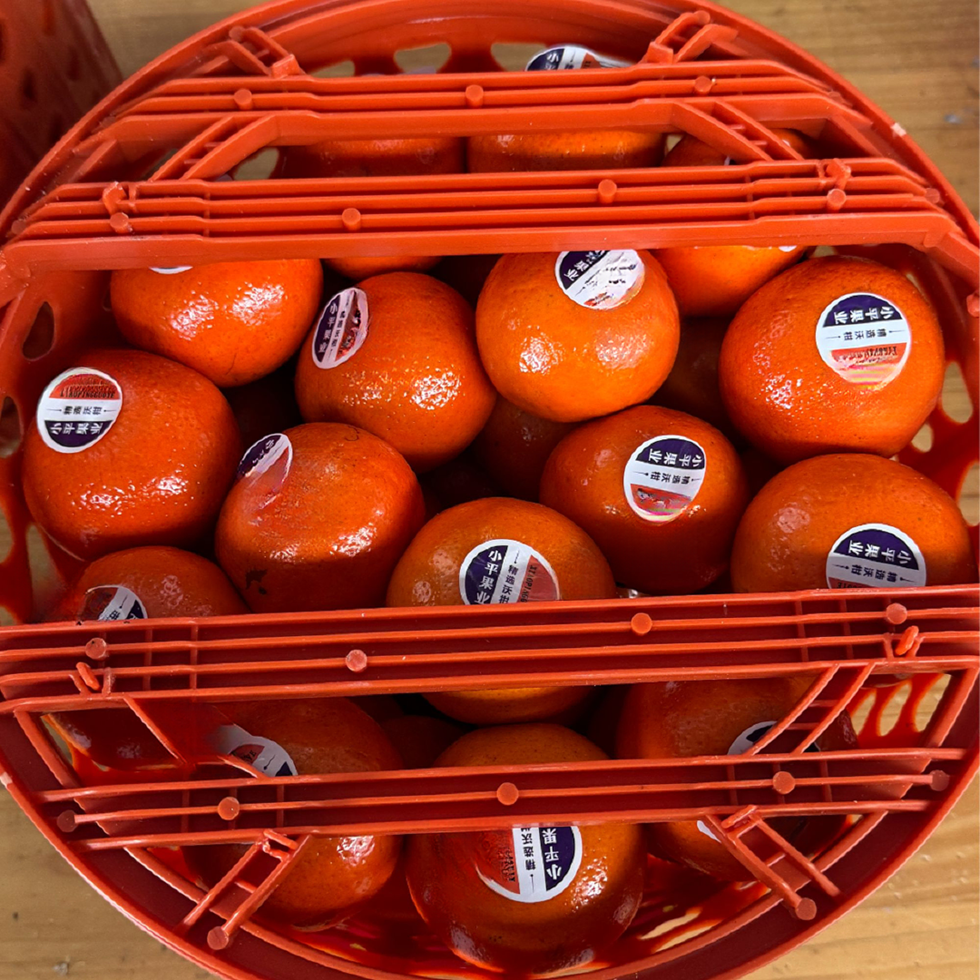 【周谷堆水果】武鸣沃柑净重9斤果实饱满当季水果皮薄多汁可口（26）