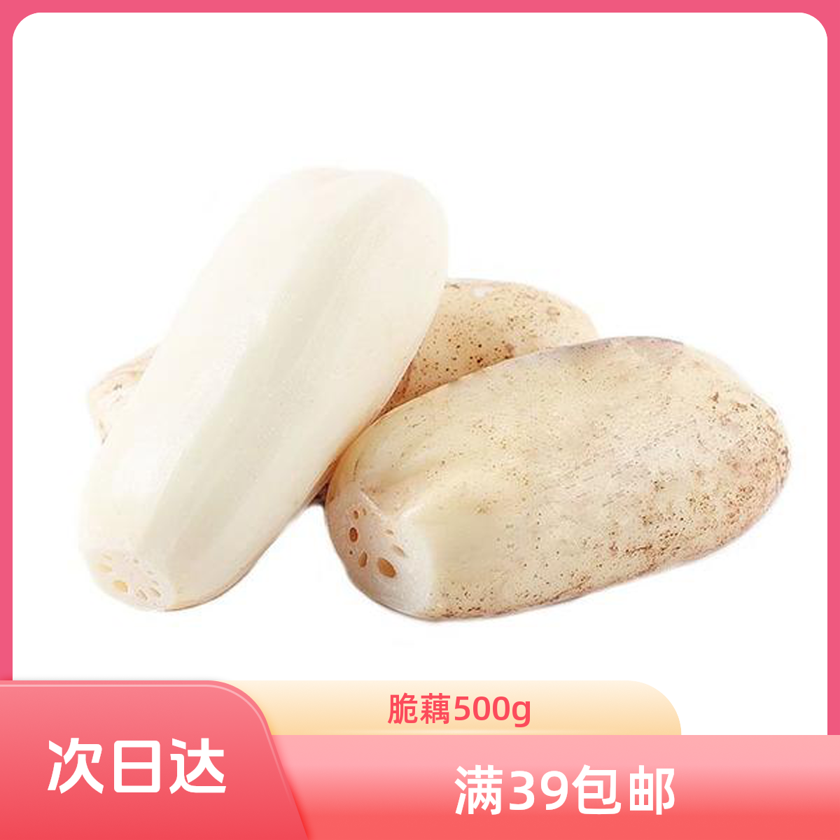 脆藕500g/个新鲜脆藕