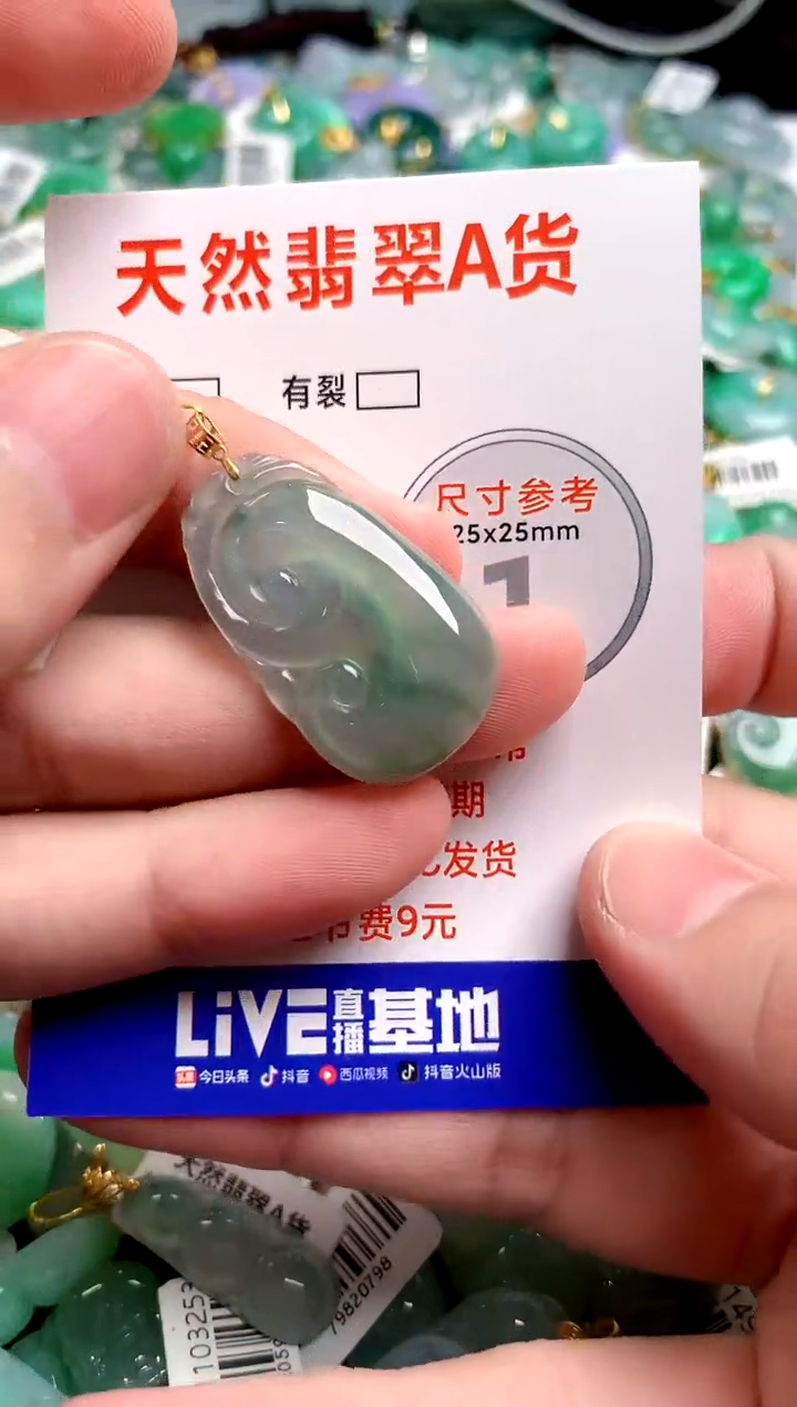 翡翠18K金镶嵌颈饰0482955801