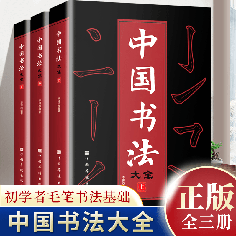 全3册中国书法大全 初学者毛笔书法基础书法知识技巧入门到精通