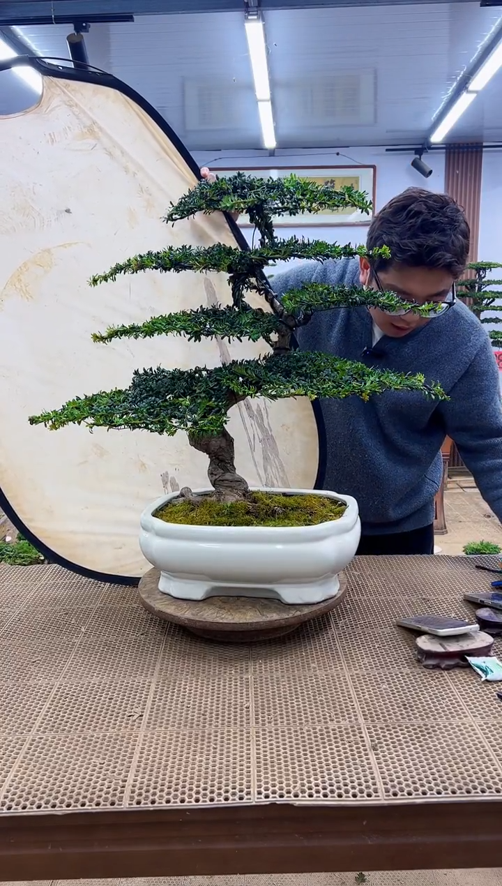 无花朵0000000000000000