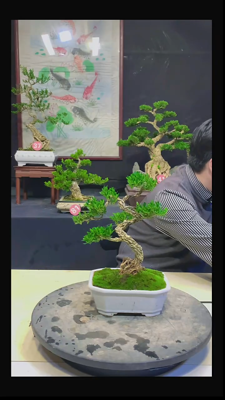 完全开放大**长1111111111122221