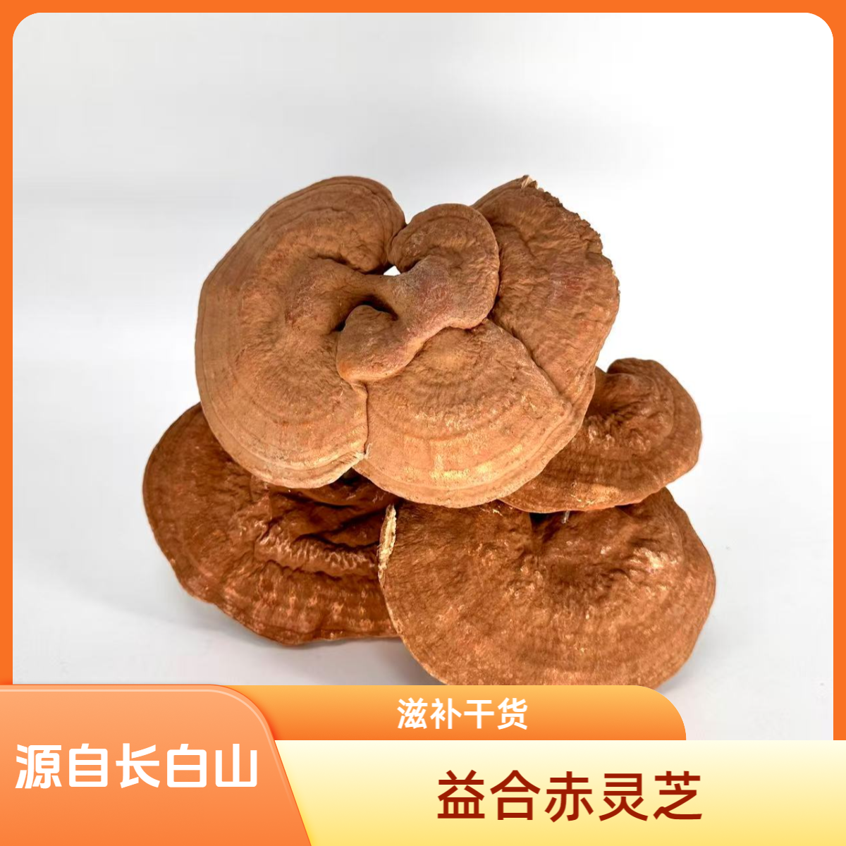 益合【残小赤灵芝】长白山赤灵芝干货东北特产泡茶滋补自然品质
