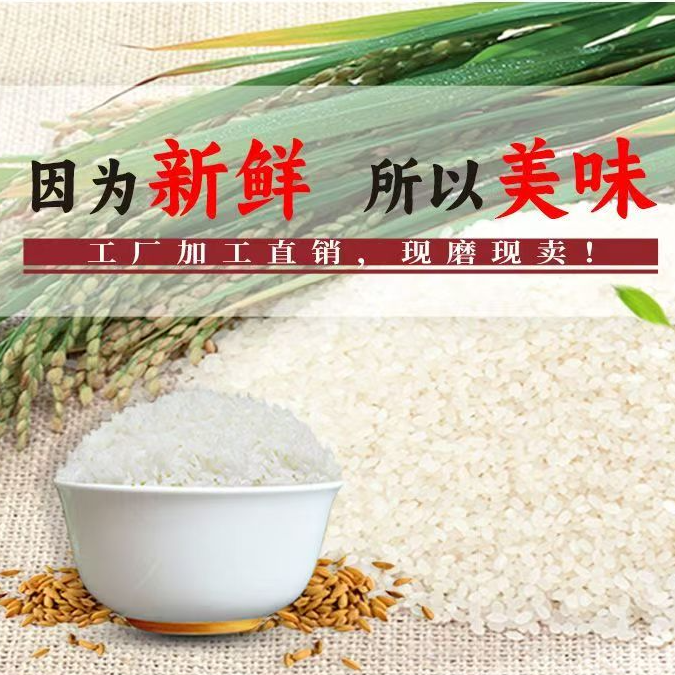 东北大米2025年盘锦小粒蟹田大米软糯营养十斤装包邮