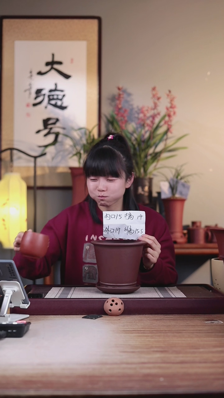 【闪购商品】紫砂花盆紫泥圆斗笠一只带托盘
