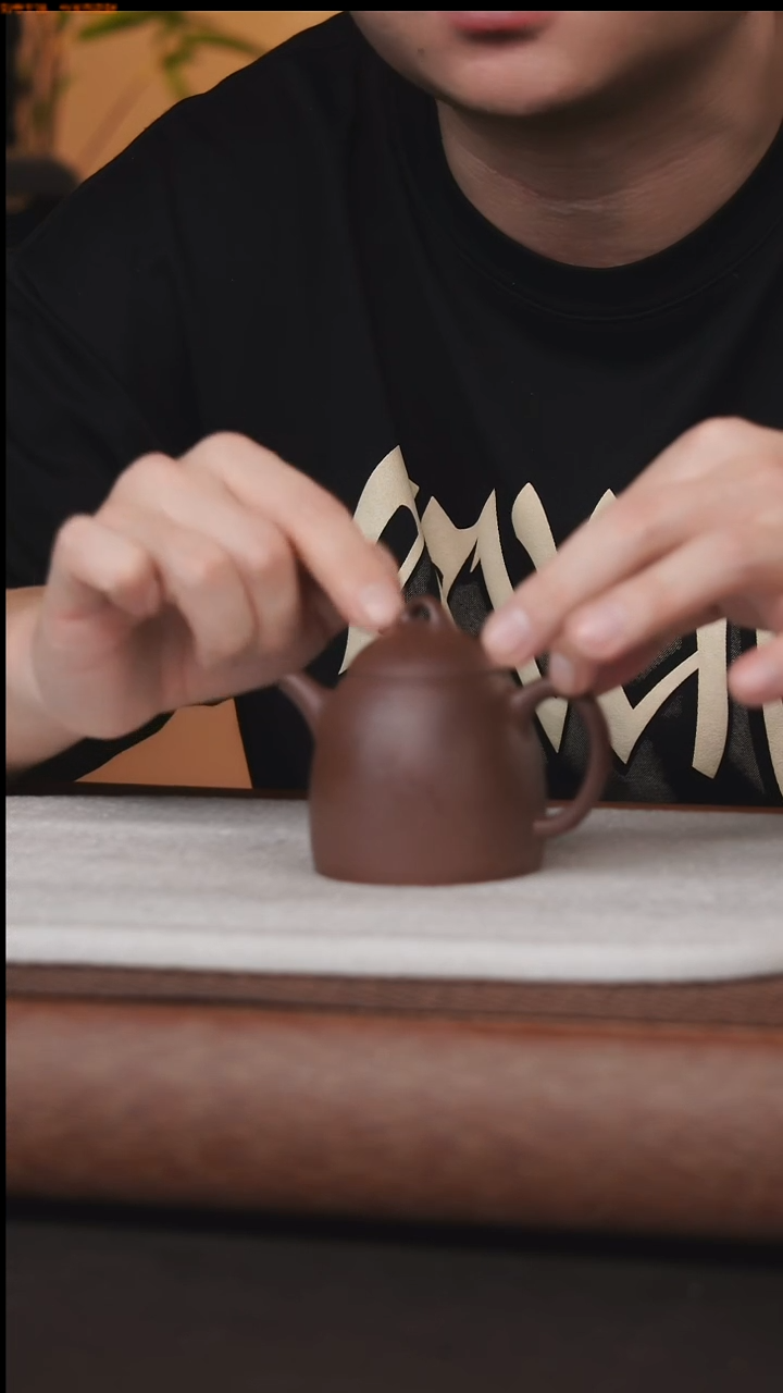 茶壶紫砂2556546564564